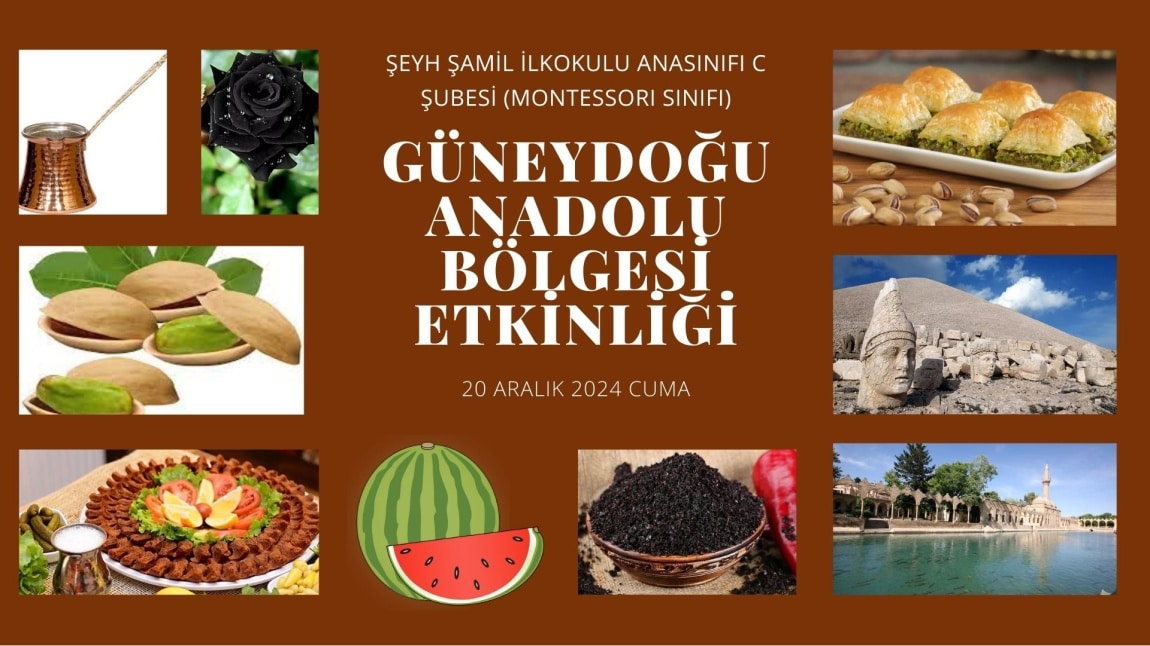 ANASINIFI C ŞUBESİ GÜNEYDOĞU ANADOLU BÖLGESİ ETKİNLİĞİ